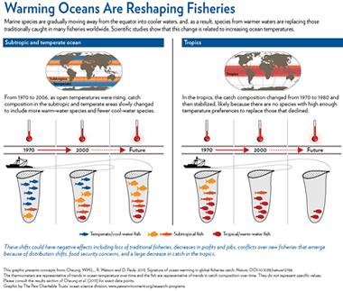 UBC researchers' "fish thermometer" shows warming oceans' effect on global fisheries. (Graphic by The Pew Charitable Trusts' ocean science division)