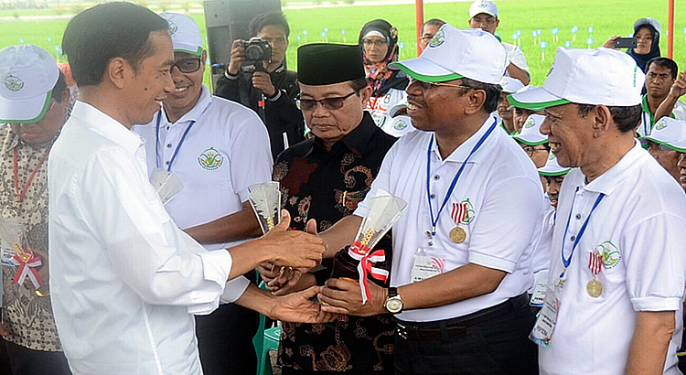 masyhuri-recognized-promoting-food-security-in-indonesia